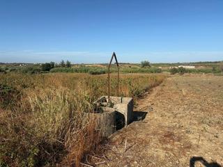 Finca rústica a Bollullos Par del Condado. Parcela rústica bien situada