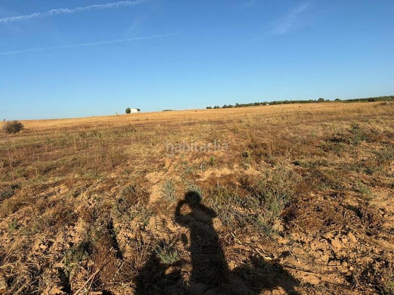 Foto 9a0ba5e9-5f5e-4710-89e3-0ba20be86844. Finca rústica parcela rústica de labor en Bollullos Par del Condado