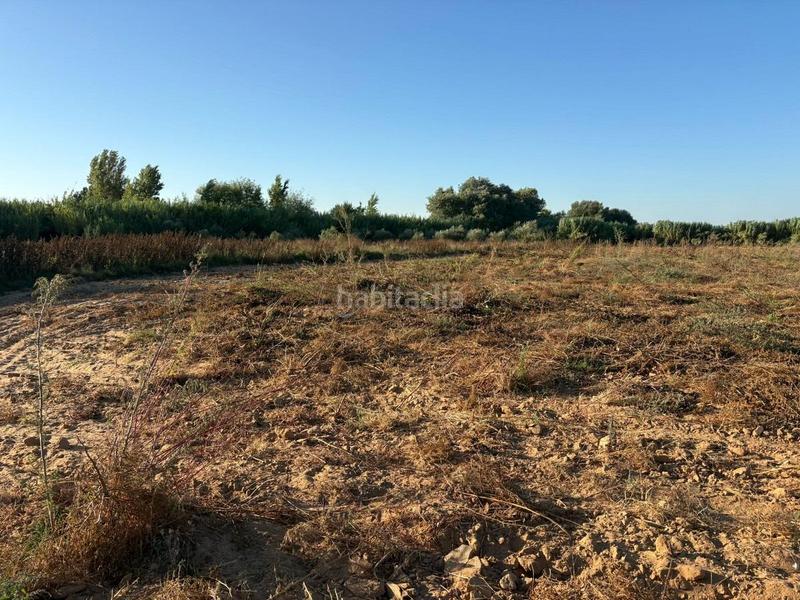 Foto e2aeaea2-0603-4599-b126-60c2d5d7ebf8. Finca rústica parcela rústica de labor en Bollullos Par del Condado