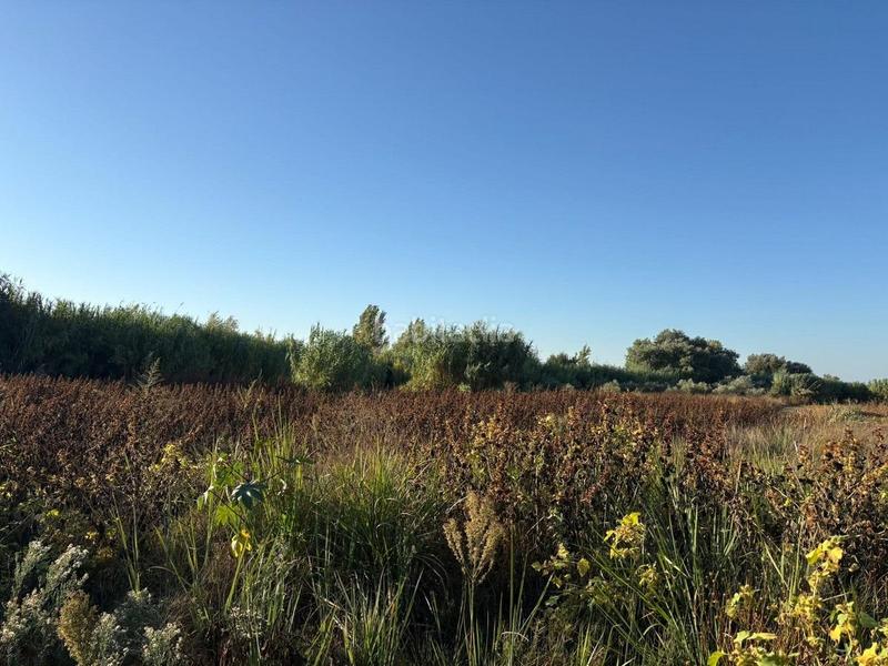 Foto e4d70d43-abf2-4c73-9685-0bc87315d764. Finca rústica parcela rústica de labor en Bollullos Par del Condado