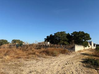 Finca rústica a Almonte. Finca rústica de regadío