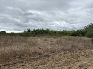 Finca rústica en Bollullos Par del Condado. Junto al pueblo. las coritas