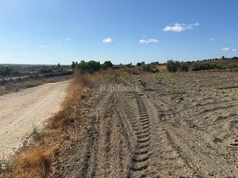 Foto 681280e5-a1f9-4288-9bed-a6e153d2cece. Finca rústica  de labor bien ubicada en Bollullos Par del Condado