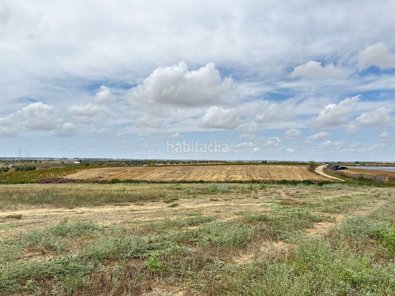 Foto 1844135c-4c7f-4a71-8105-d566ca80c1d4. Finca rústica a Almonte Almonte