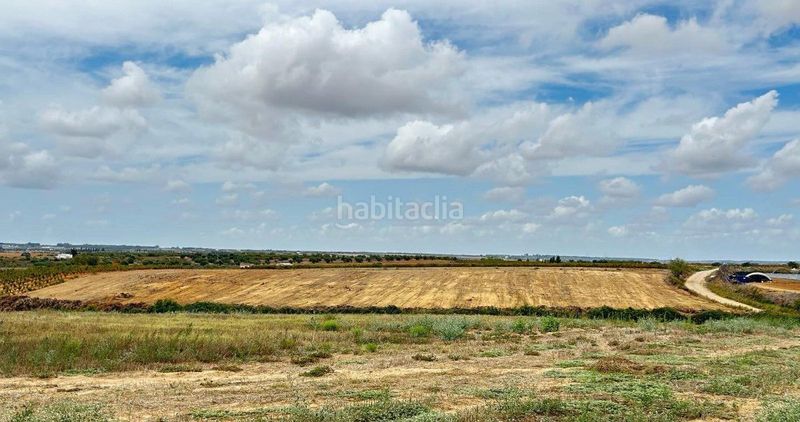 Foto 68cb2108-a1b4-4645-a173-9412b2746c45. Finca rústica a Almonte Almonte