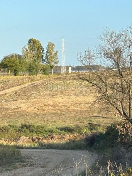 Foto 922fc753-21e3-4d47-aeb6-6ebddf57b1f5. Finca rústica a Almonte Almonte