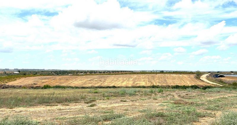 Foto a14e657e-e661-42dd-8373-01ff212ec421. Finca rústica a Almonte Almonte