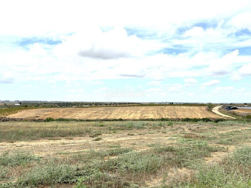 Foto b153729b-289b-4cdb-82d1-72a9512d64c8. Finca rústica a Almonte Almonte