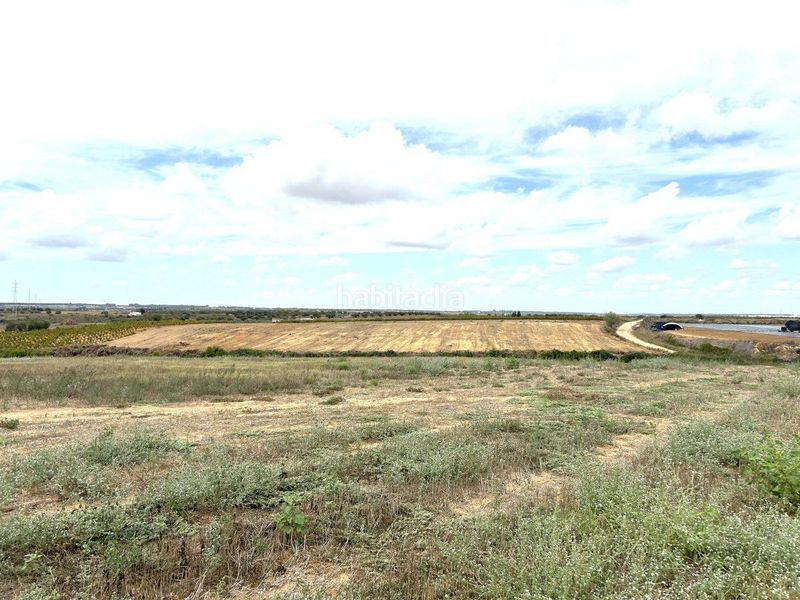 Foto ea2878f9-9fe9-49a1-8092-7b73bba0f45e. Finca rústica a Almonte Almonte