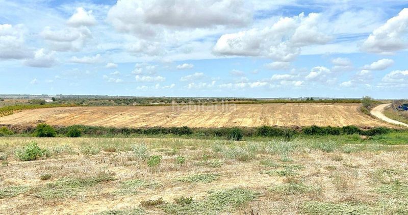 Foto ec549a28-8cd7-4d50-bbb0-8b5aa13bf000. Finca rústica a Almonte Almonte