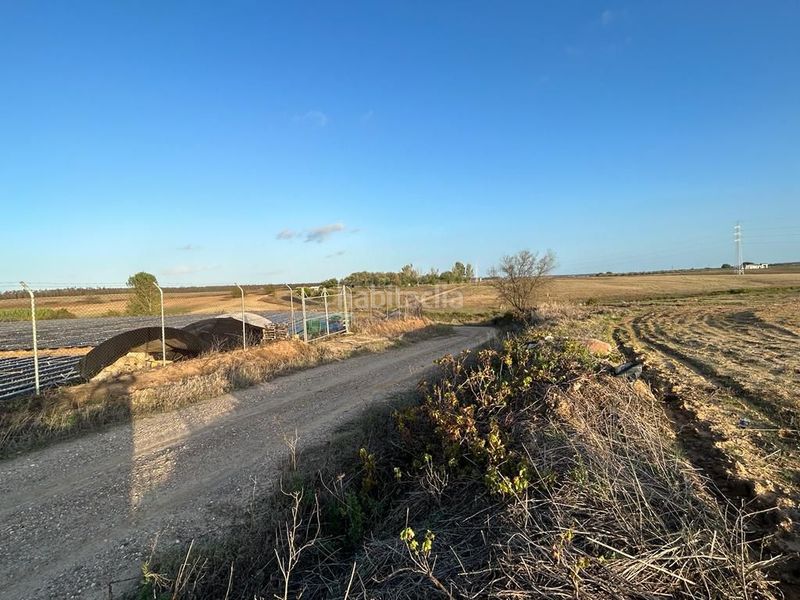 Foto fb8d2992-e74a-42d7-97ae-9c64cf8405dd. Finca rústica a Almonte Almonte