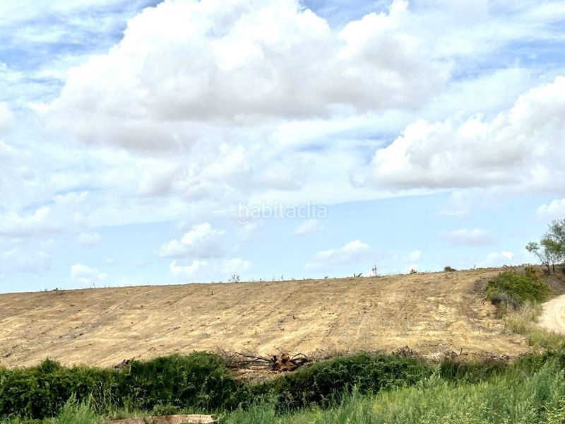 Foto 09d1d3dd-e7d6-4f27-8137-768752fc3788. Finca rústica en Almonte Almonte