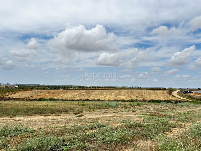 Foto 193008b3-9385-4fa1-88c5-8982212f36a2. Finca rústica en Almonte Almonte