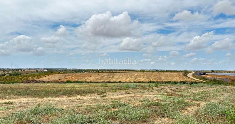 Foto 44899a75-cc85-4ddd-a10e-4e76b5a13e47. Finca rústica en Almonte Almonte