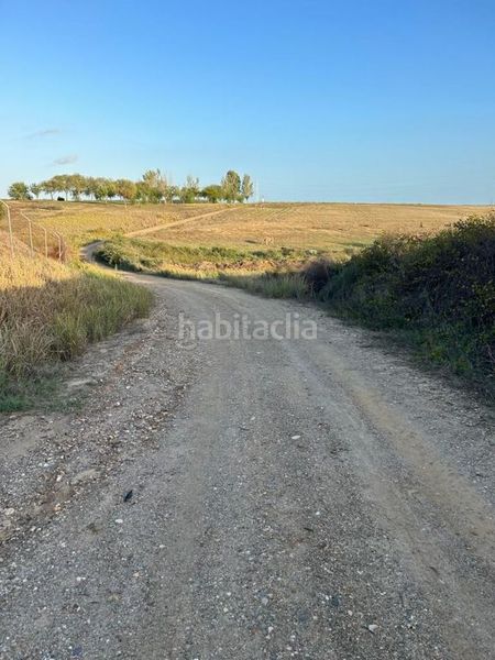 Foto 4eb79e1e-f50b-4e7f-9e5b-21aaa3bb3ba3. Finca rústica en Almonte Almonte