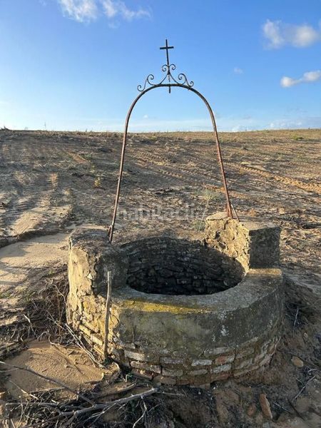 Foto 5743e625-53c2-4c35-81f9-20b45793f350. Finca rústica en Almonte Almonte