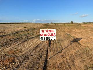 Finca rústica en Almonte