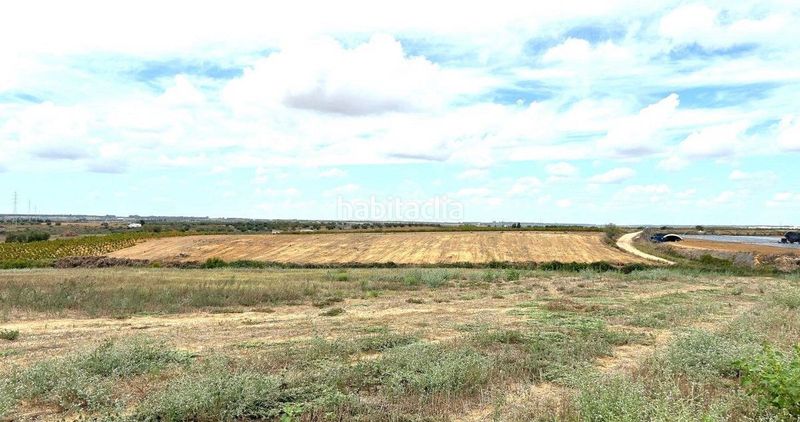 Foto 7e78241a-23f1-4c8c-919c-ec8c066accb4. Finca rústica en Almonte Almonte