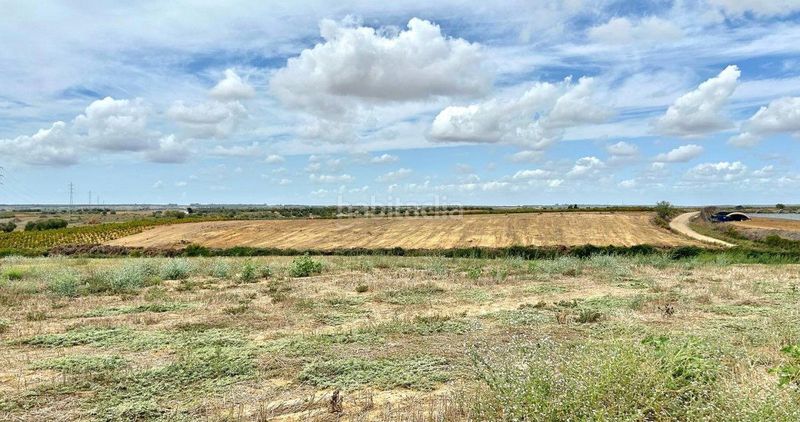 Foto a4d38e3e-30ee-4372-9581-20da181f1621. Finca rústica en Almonte Almonte