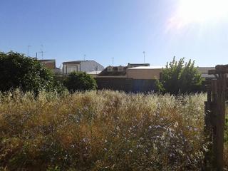 Terreny residencial a Pilas