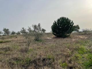 Masia a Palma del Condado (La)