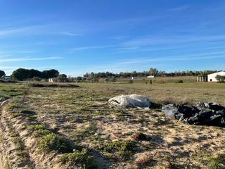 Mas à Bollullos Par del Condado