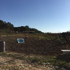 Masía en Villarrasa