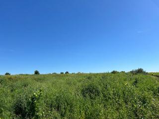 Masia a Bollullos Par del Condado