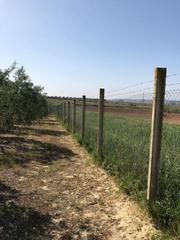 Country house in Rociana del Condado