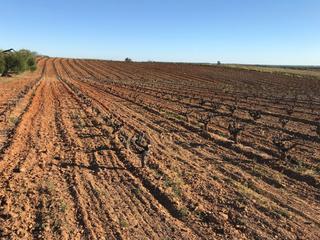Masía en Bollullos Par del Condado