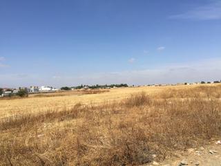 Terrain résidentiel à Almonte