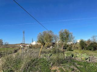 Terrain résidentiel à Palma del Condado (La)
