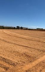 Rural plot in Bollullos Par del Condado