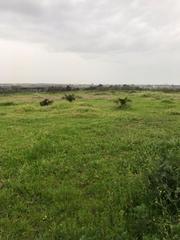 Masia a Bollullos Par del Condado