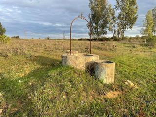 Masía en Bollullos Par del Condado
