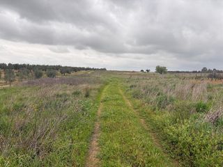 Casale in Palma del Condado (La)