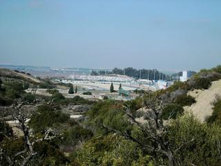 Terrain résidentiel à El Rocío - La Milagrosa. Parcela para construcción de viviendas de lujo