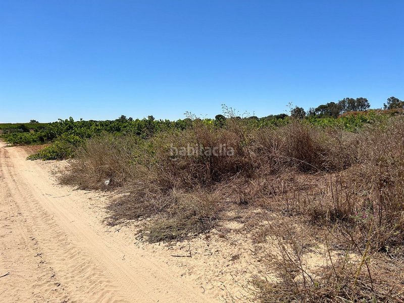 Foto 404651b8-b2f7-43f7-b6d2-aa4d296161c8. Finca rústica a Bollullos Par del Condado