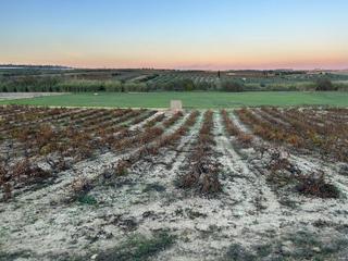 Masia a Bollullos Par del Condado