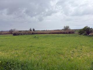 Masía en Bollullos Par del Condado