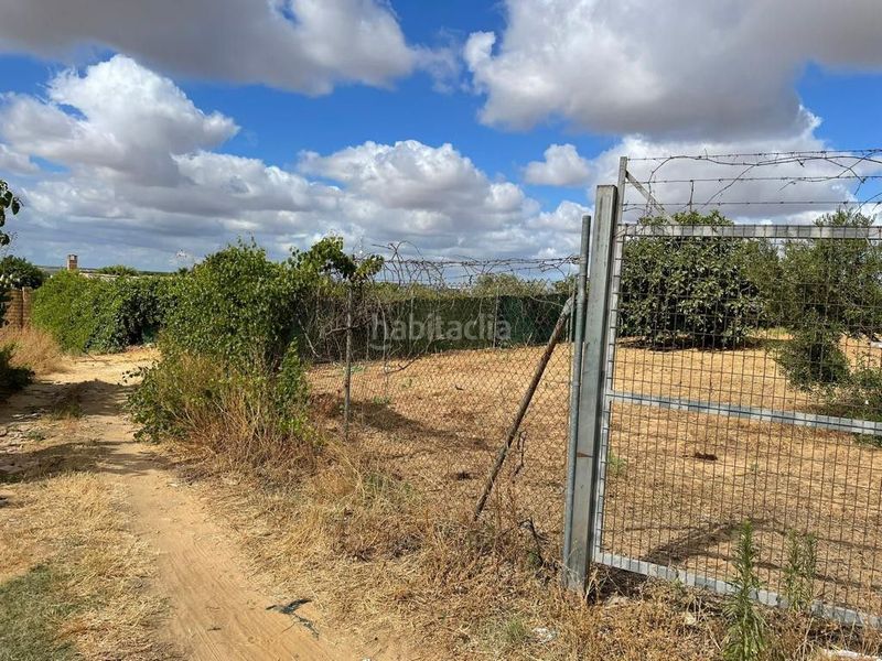 Foto 54e39992-e181-428a-80dd-761201de5bf5. Finca rústica a Bollullos Par del Condado