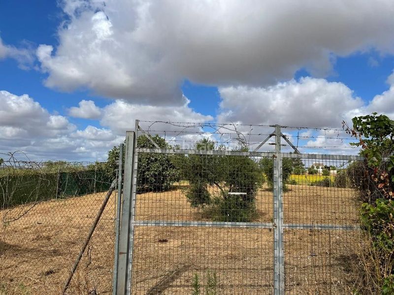 Foto 594a8a22-9591-49f1-b780-841fa8a5fb0a. Finca rústica a Bollullos Par del Condado