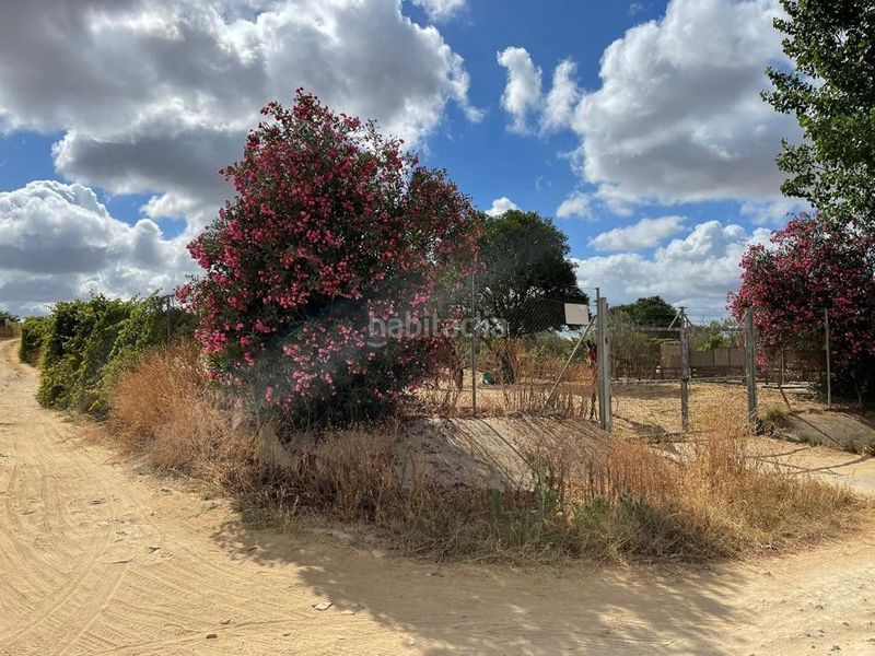 Foto 5d9ca3e6-4230-418c-a9a3-719a9904494e. Finca rústica a Bollullos Par del Condado