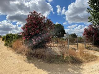 Rural plot in Bollullos Par del Condado