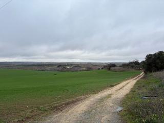 Mas à Bollullos Par del Condado