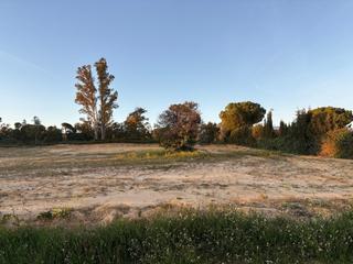 Bauernhof in Bollullos Par del Condado