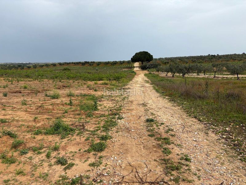 Foto ef900396-f596-495d-b403-47a1eb5b49b3. Finca rústica a Bollullos Par del Condado