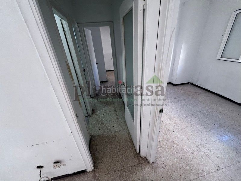 Foto 41eea8d8-2514-4841-ae2b-b0b5ddcd4381. Pis a calle cisne 3 a Punta Umbría