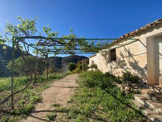 Masía en Limonar. Finca agraria regadio con cortijo para reformar