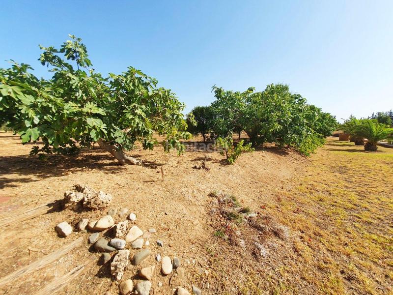 Foto 716720da-393e-436d-b0a9-b8298ec21f86. Mas avec chauffage parking dans Villafranco del Guadalhorce Alhaurín el Grande